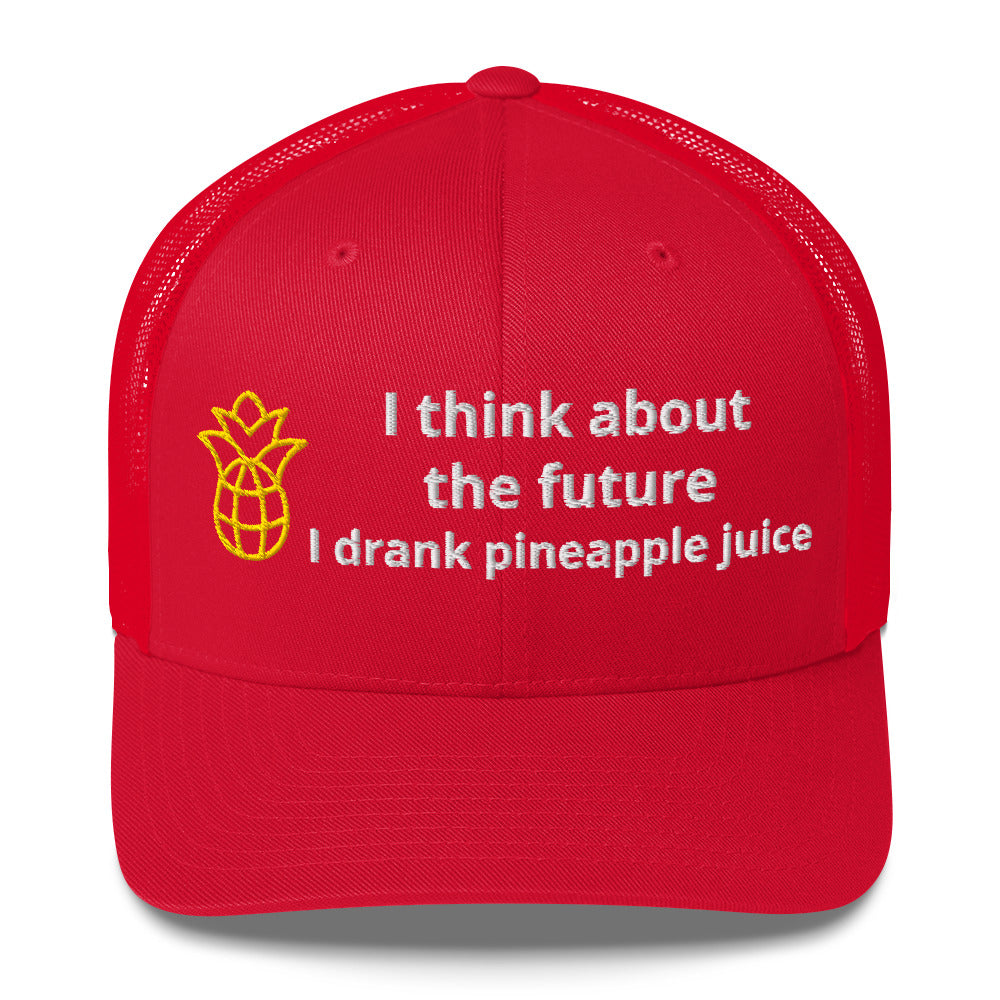 Casquette brodée I think about the future I drank pineapple juice - Sedurro