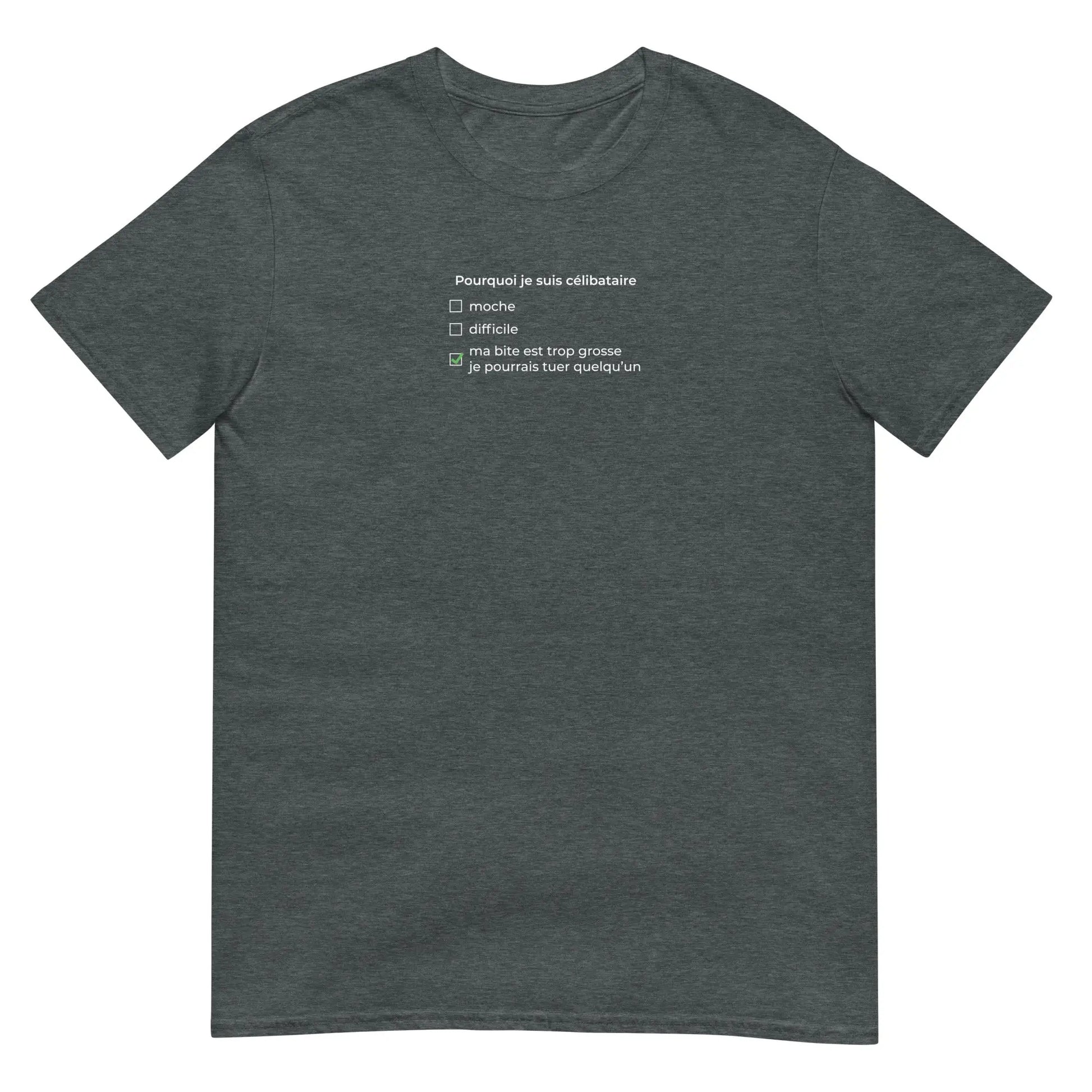 T-shirt unisexe Pourquoi je suis célibataire ma bite est trop grosse - Sedurro