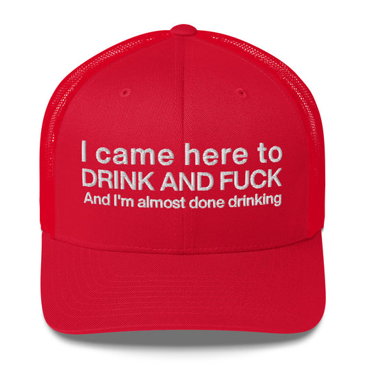 Casquette brodée I came here to drink and fuck - Sedurro